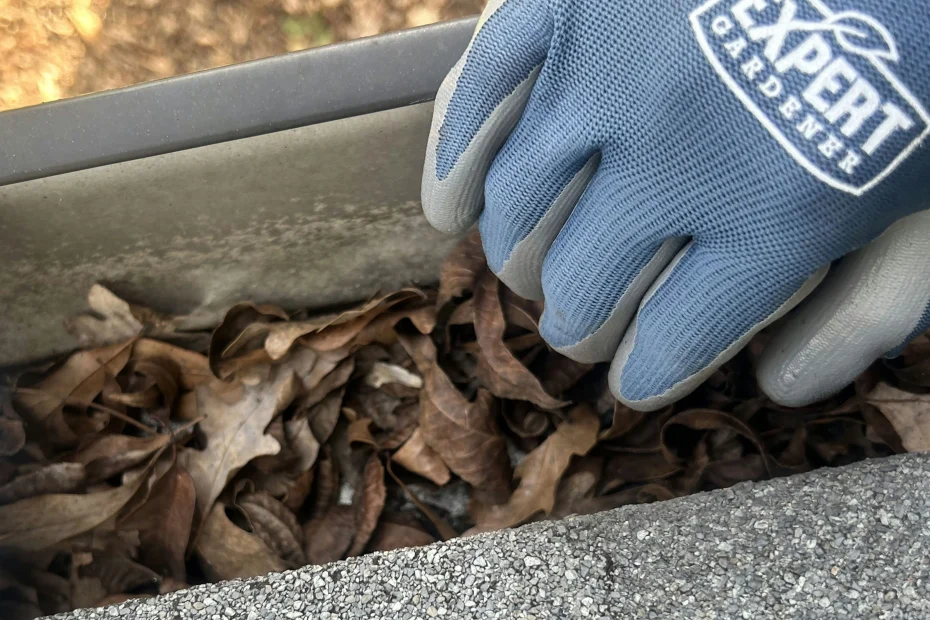 Gutter Cleaning Falls