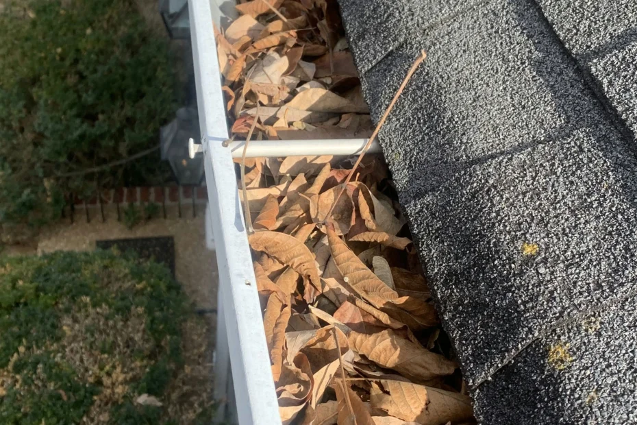 Gutter Cleaning Falls