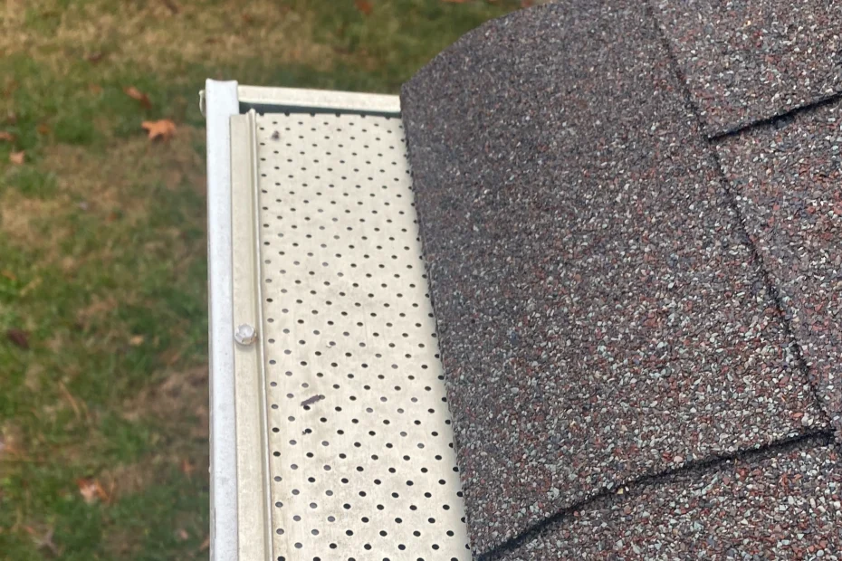 Gutter Cleaning Falls